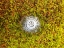 Picture of US GEODETIC SURVEY POINT I