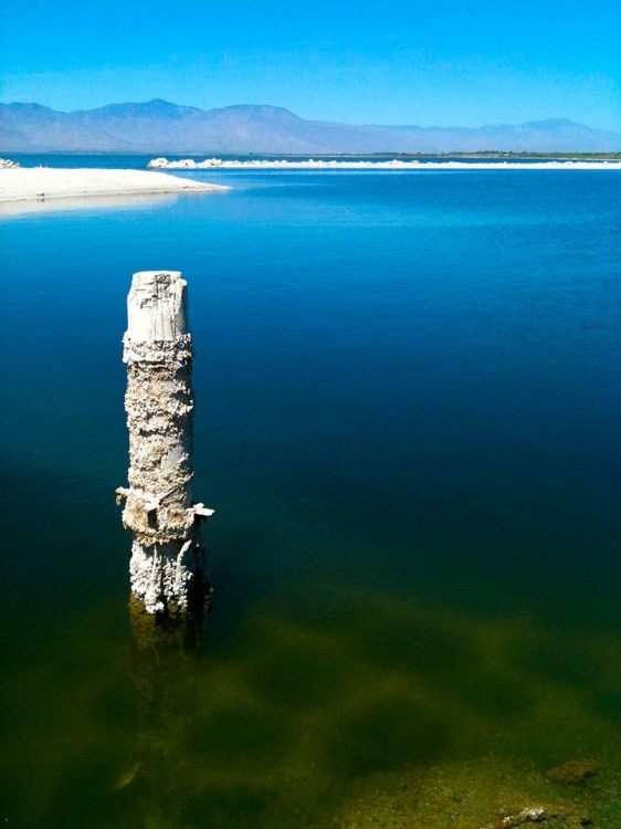 Picture of SALTON SEA I