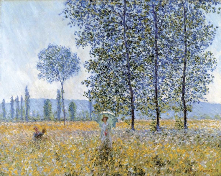 Picture of SUNLIGHT UNDER THE POPLARS