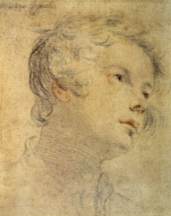 Picture of HEAD OF A YOUTH