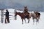 Picture of THE FALL OF THE COWBOY