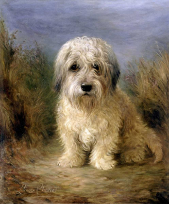 Picture of A DANDIE DINMONT