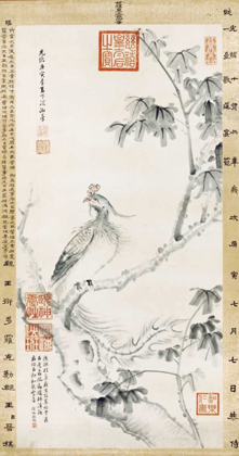 Picture of A PHOENIX STANDING ON A CHINESE PARASOL TREE