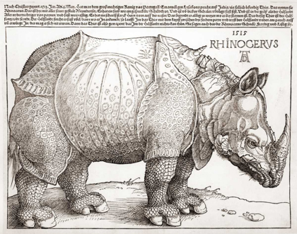 Picture of THE RHINOCEROS