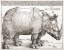 Picture of THE RHINOCEROS