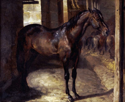 Picture of ANGLO-ARABIAN STALLION IN THE IMPERIAL STABLES AT VERSAILLES