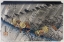 Picture of DRIVING RAIN, SHONO