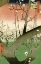 Picture of PLUM GARDEN, KAMEIDO