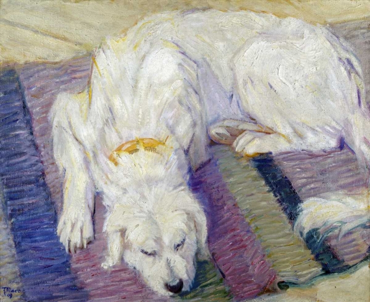 Picture of LIEGENDER HUND - HUNDEPORTRAT