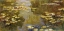 Picture of THE LILY POND
