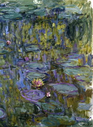 Picture of WATER LILIES