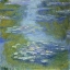 Picture of WATER LILIES