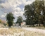 Picture of THE ROAD TO MARLY-LE-ROI