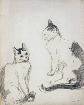 Picture of THE TWO CATS