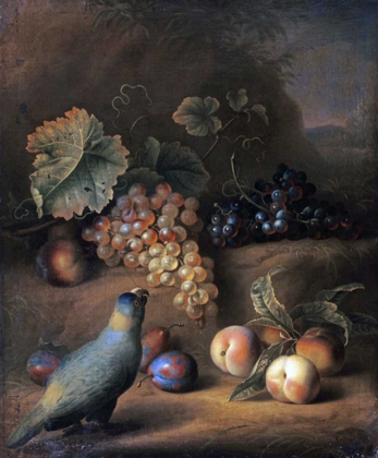 Picture of A PARROT WITH GRAPES, PEACHES AND PLUMS IN A LANDSCAPE