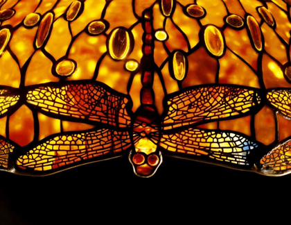 Picture of DETAIL OF AN IMPORTANT DICHROIC DRAGONFLY