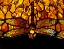 Picture of DETAIL OF AN IMPORTANT DICHROIC DRAGONFLY