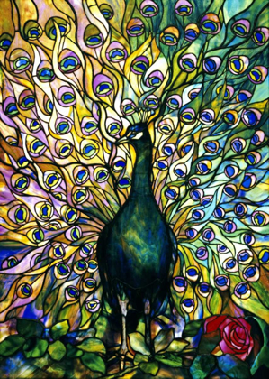 Picture of FINE PEACOCK