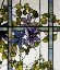 Picture of DETAIL OF A CLEMATIS