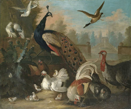 Picture of A PEACOCK AND OTHER BIRDS