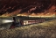 Picture of PRAIRIE FIRES OF THE GREAT WEST