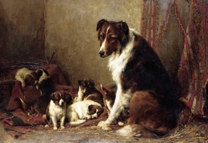 Picture of A COLLIE WITH HER PUPPIES