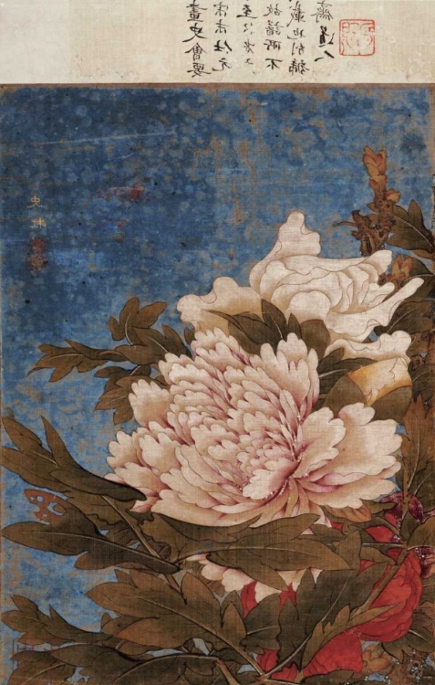 Picture of PEONIES