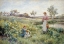 Picture of SUMMER FLOWERS