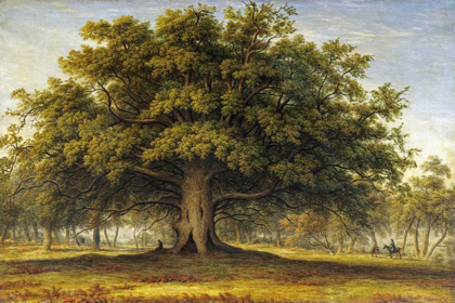 Picture of THE BEGGARS OAK