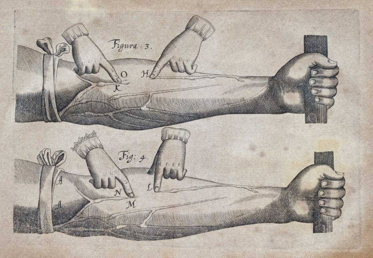 Picture of DISCOVERY OF THE CIRCULATION OF BLOOD