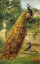 Picture of PEACOCKS IN THE PARK
