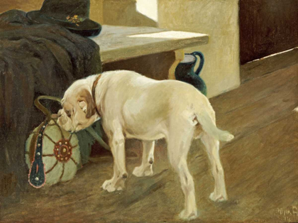 Picture of STUDY OF A BULLDOG