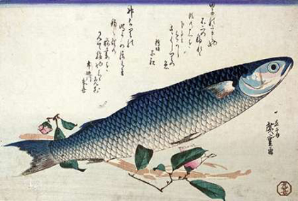 Picture of A DESIGN FROM A LARGE FISH SERIES