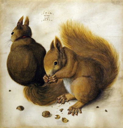 Picture of TWO SQUIRRELS, ONE EATING A HAZELNUT