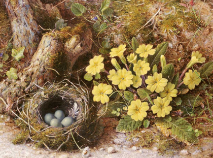 Picture of STILL LIFE WITH A BIRDS NEST