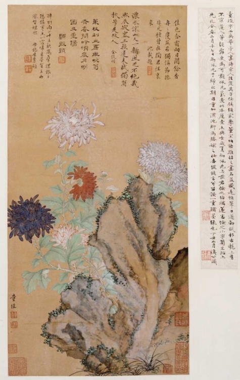 Picture of FLOWERS AND ROCKS