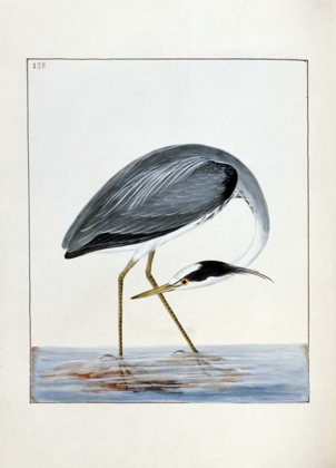 Picture of HERON