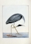 Picture of HERON