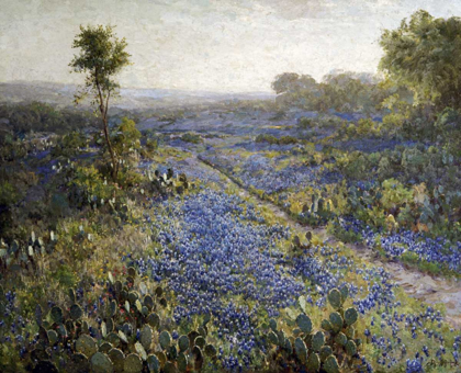 Picture of FIELD OF TEXAS BLUEBONNETS AND PRICKLY PEAR CACTI