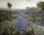 Picture of FIELD OF TEXAS BLUEBONNETS AND PRICKLY PEAR CACTI