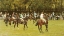 Picture of IN THE PADDOCK