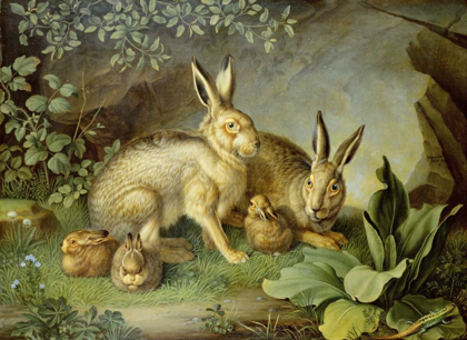 Picture of HARES AND LEVERETS IN A ROCKY LAIR
