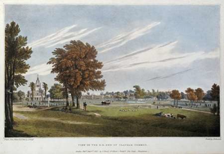 Picture of CLAPHAM COMMON