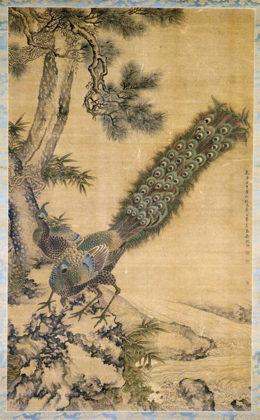 Picture of BAMBOO, PINE AND PEACOCKS