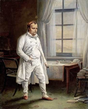 Picture of NAPOLEON ON ST. HELENA