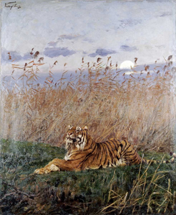 Picture of TIGER IN THE RUSHES