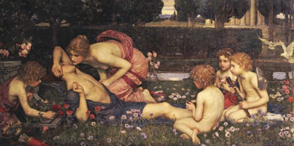 Picture of THE AWAKENING OF ADONIS