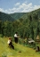 Picture of THE FARMER AND HIS SON AT HARVESTING