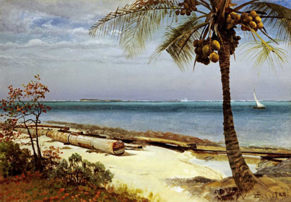 Picture of TROPICAL COAST