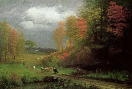 Picture of RAINY DAY IN AUTUMN, MASSACHUSETTS